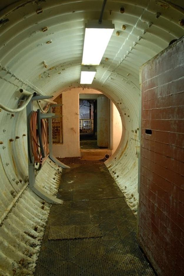 apocalipse zumbi (11)