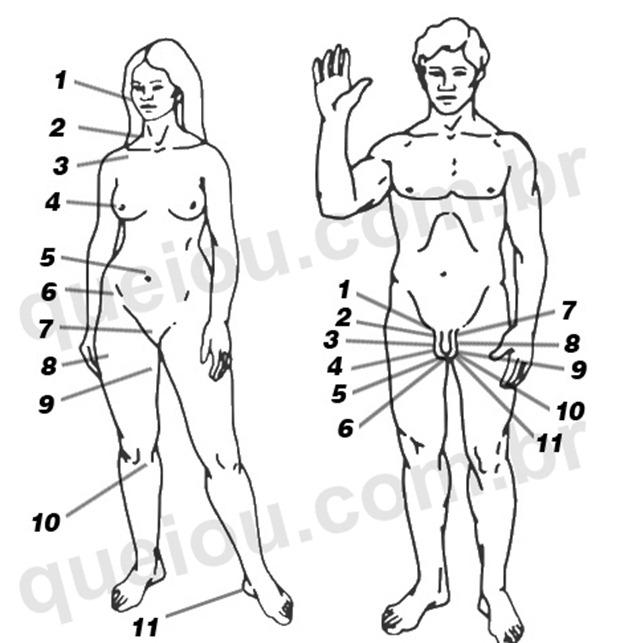 Pontos sensíveis estimulantes da mulher e do homem