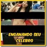 celebro celebro